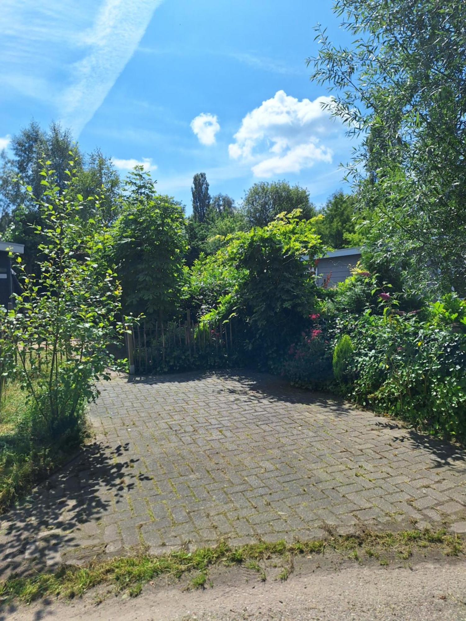 The Bright Side Brabant Villa Molenschot Buitenkant foto